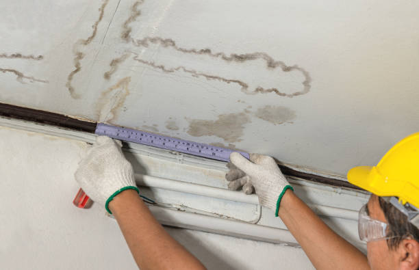 Affordable Water Damage Repair solutions in Flushing, MI